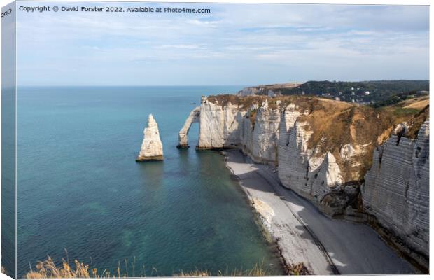 The Porte d'Aval Arch and The L'Aiguille (the Needle), Étretat Canvas Print by David Forster
