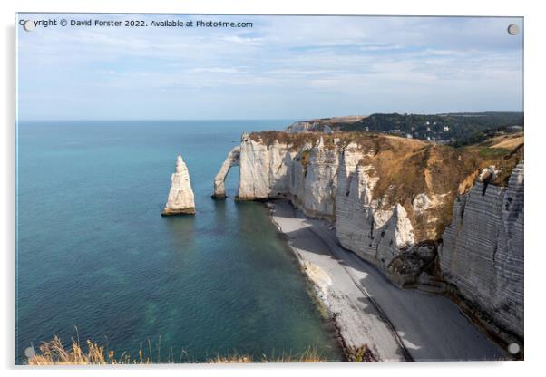 The Porte d'Aval Arch and The L'Aiguille (the Needle), Étretat Acrylic by David Forster