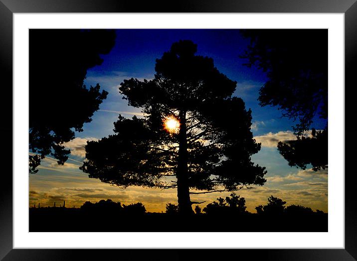 Night Sun Framed Mounted Print by Louise Godwin