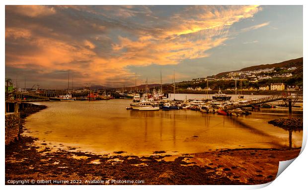 Iona Harbour's Enchanting Sunset Print by Gilbert Hurree