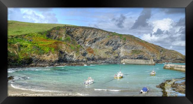 The Picturesque Port Isaac harbour Cornwall Framed Print by Diana Mower