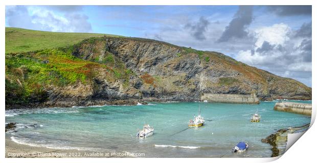 The Picturesque Port Isaac harbour Cornwall Print by Diana Mower