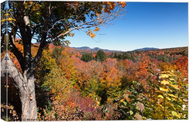 The beautiful fall Canvas Print by Richard Morgan