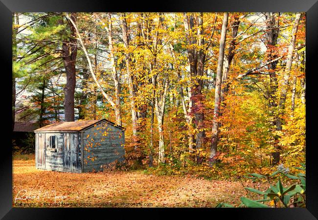 Old shack in the fall in New Hampshire. Framed Print by Richard Morgan