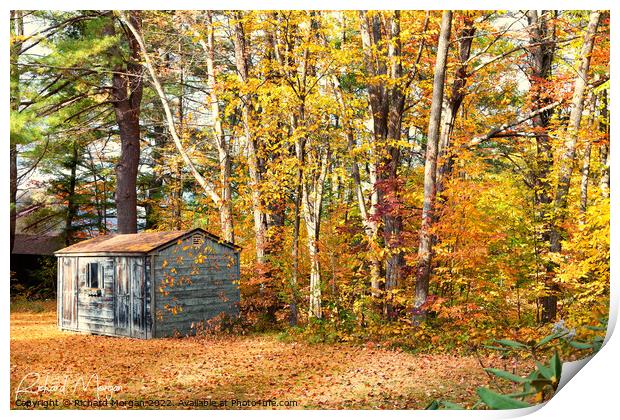 Old shack in the fall in New Hampshire. Print by Richard Morgan