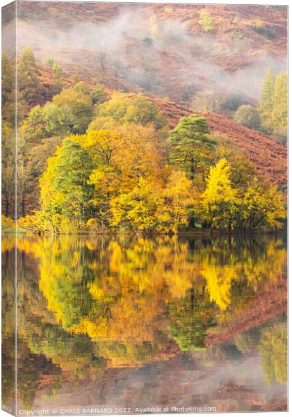 Misty morning Rydal Water Canvas Print by CHRIS BARNARD