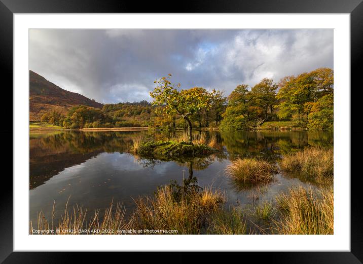 Autumn on Rydal Water Framed Mounted Print by CHRIS BARNARD