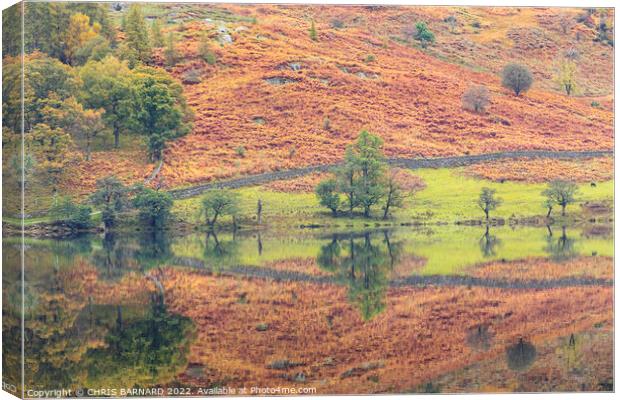 Rydal Water Reflections Canvas Print by CHRIS BARNARD