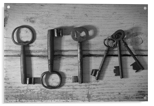 Skeleton Keys in Monochrome Acrylic by Angelo DeVal