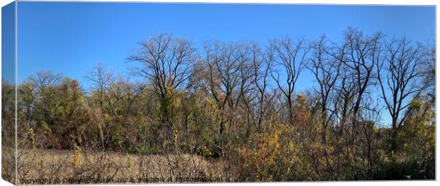  Fall Trees Panorama Canvas Print by Deanne Flouton