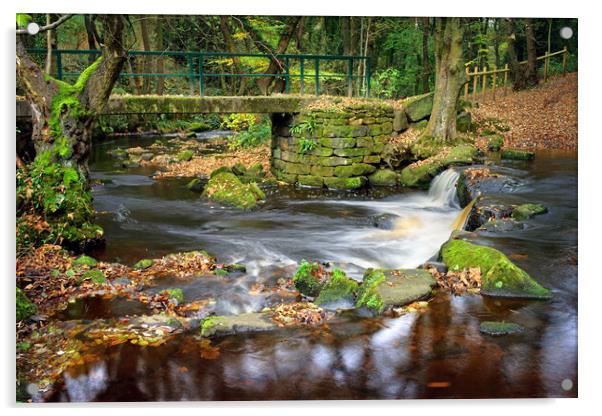 Hind Wheel Waterfalls and Footbridge  Acrylic by Darren Galpin