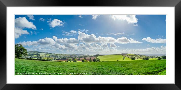 Devon's Green and Pleasant Land Framed Mounted Print by Adrian Burgess