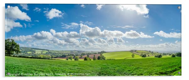 Devon's Green and Pleasant Land Acrylic by Adrian Burgess