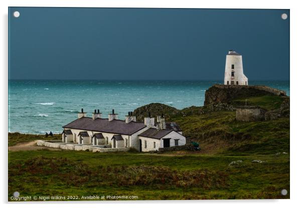 Twr Mawr Lighthouse & Pilot Cottages, Anglesey Acrylic by Nigel Wilkins