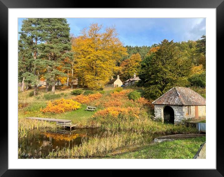 Autumn Colours Rothbury Framed Mounted Print by David Thompson