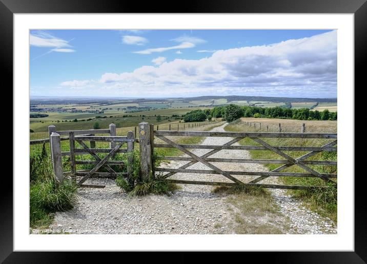 The Trundle Hill Fort Walk  Framed Mounted Print by Diana Mower