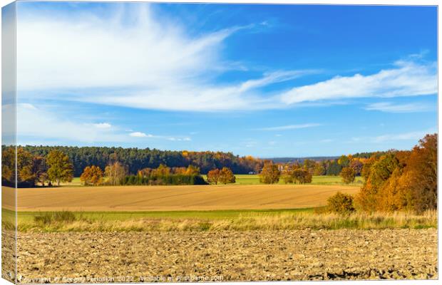 Sunny autumn day in european countryside. Czech Republic. Canvas Print by Sergey Fedoskin