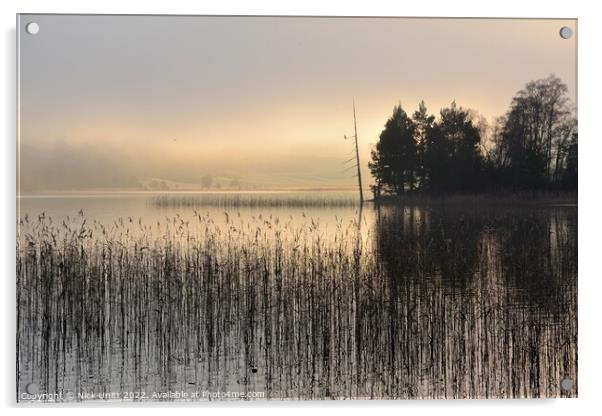 Loch Pityoulish, Aviemore Acrylic by Nick Unitt