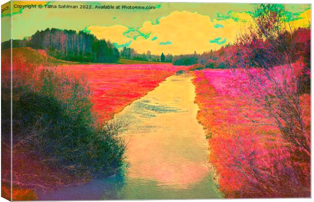 Fantasy River Landscape Canvas Print by Taina Sohlman