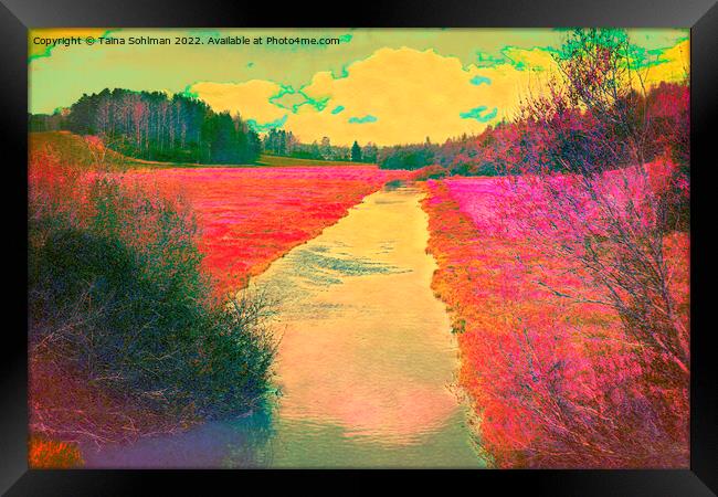 Fantasy River Landscape Framed Print by Taina Sohlman