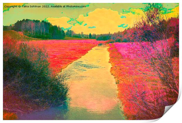 Fantasy River Landscape Print by Taina Sohlman