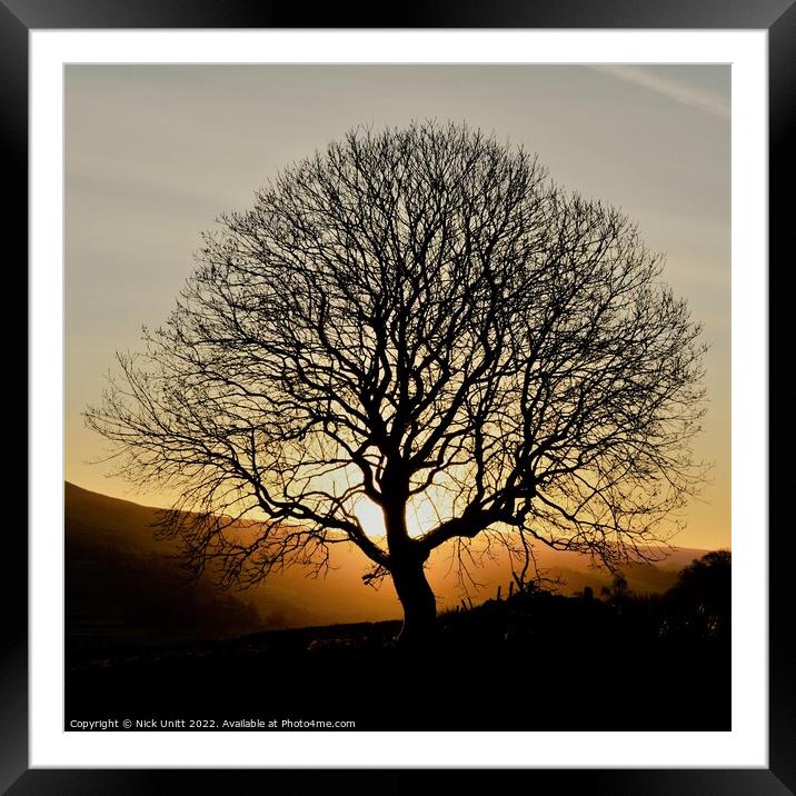 Sunrise Tree Silhouette Framed Mounted Print by Nick Unitt