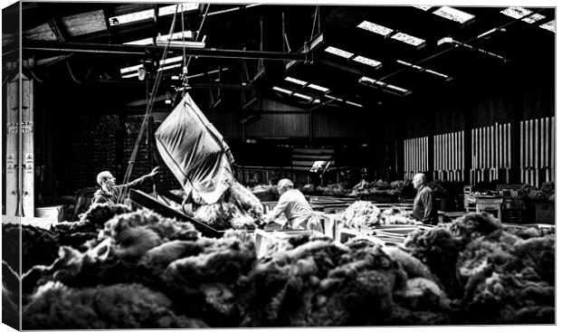 Grading wool, Liskeard Wool Depot, Cornwall. Canvas Print by Maggie McCall