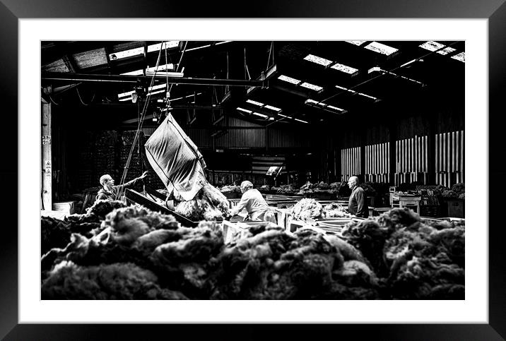 Grading wool, Liskeard Wool Depot, Cornwall. Framed Mounted Print by Maggie McCall