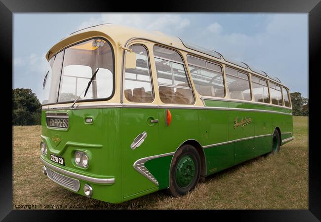 Old Southdown bus Framed Print by Sally Wallis