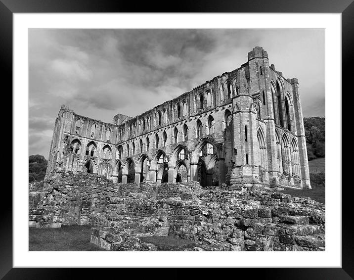 Ruins of Rievaulx Abbey Framed Mounted Print by Sarah Couzens