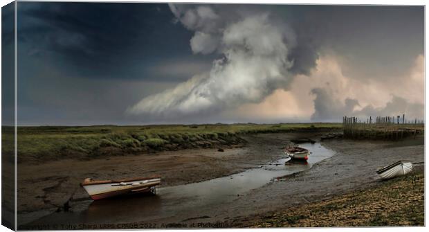 HIGH AND DRY -NORFOLK ESTUARY LOW TIDE Canvas Print by Tony Sharp LRPS CPAGB