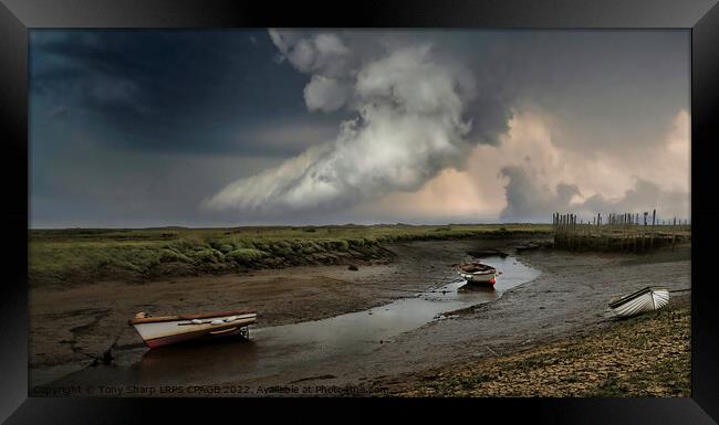 HIGH AND DRY -NORFOLK ESTUARY LOW TIDE Framed Print by Tony Sharp LRPS CPAGB