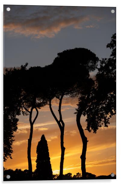 Trees Silhouette At Sunset Acrylic by Artur Bogacki