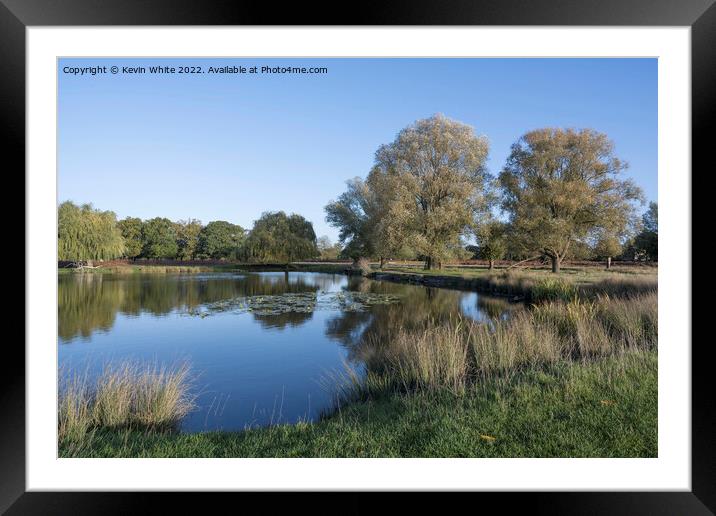 November time in Bushy Park Framed Mounted Print by Kevin White