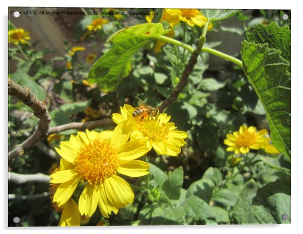 Plant flower Acrylic by Ali asghar Mazinanian