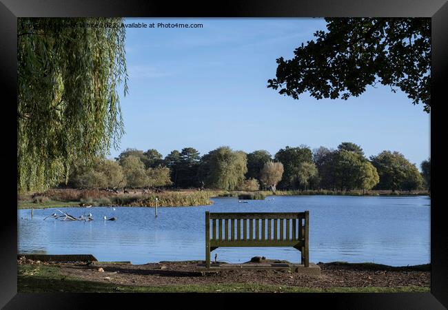 A place to meditate Framed Print by Kevin White