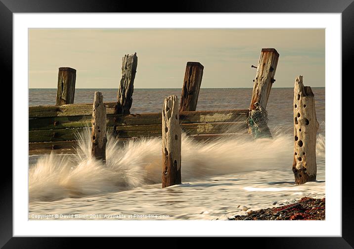 The old sea defences Framed Mounted Print by David Borrill