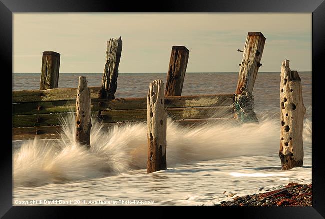 The old sea defences Framed Print by David Borrill