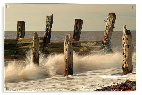 The old sea defences Acrylic by David Borrill