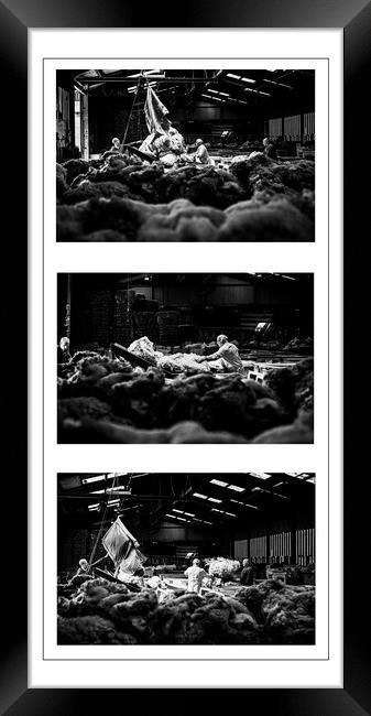  A Triptych of Grading wool, Liskeard Wool Depot,  Framed Print by Maggie McCall