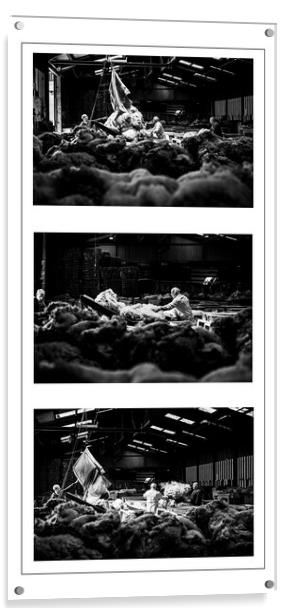  A Triptych of Grading wool, Liskeard Wool Depot,  Acrylic by Maggie McCall