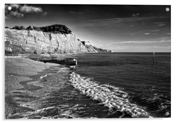 Sidmouth Coastline   Acrylic by Darren Galpin