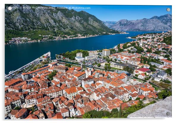 Aerial view of Kotor on Bay of Kotor in Montenegro Acrylic by Angus McComiskey