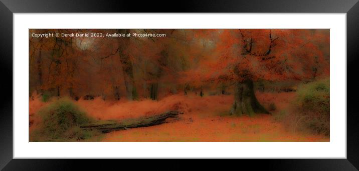 Autumn Forest Scene (panoramic) Framed Mounted Print by Derek Daniel