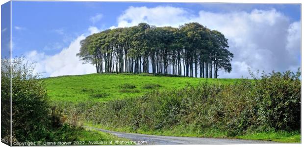  Nearly Home trees, coming home trees   Canvas Print by Diana Mower