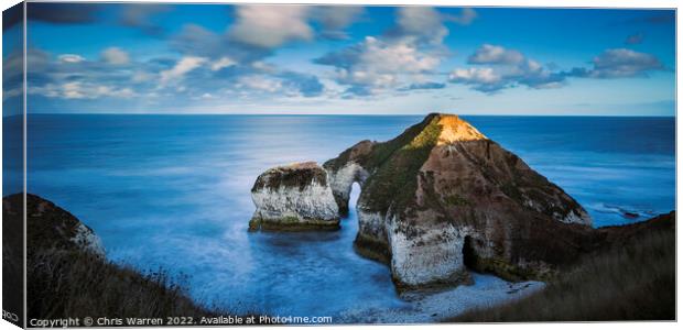 The Drinking Dinosaur at Flamborough Head Canvas Print by Chris Warren