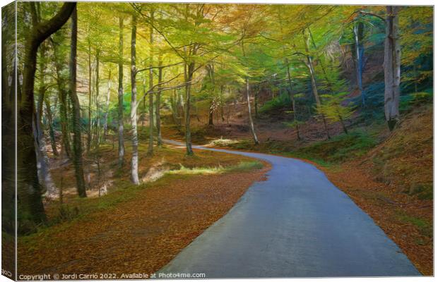 Collsacabra Forest Path - Picturesque Edition  Canvas Print by Jordi Carrio