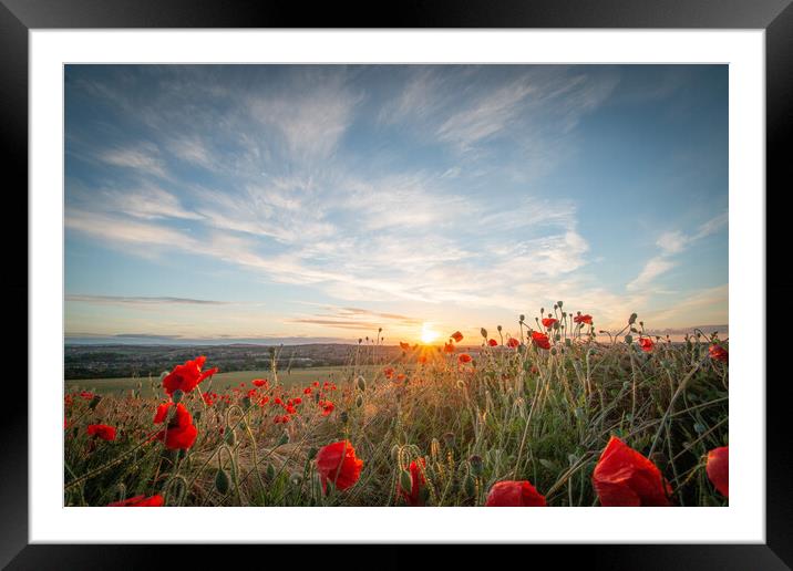 Poppy Sunset Framed Mounted Print by J Biggadike