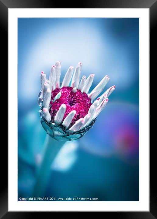 Vaia blue Framed Mounted Print by