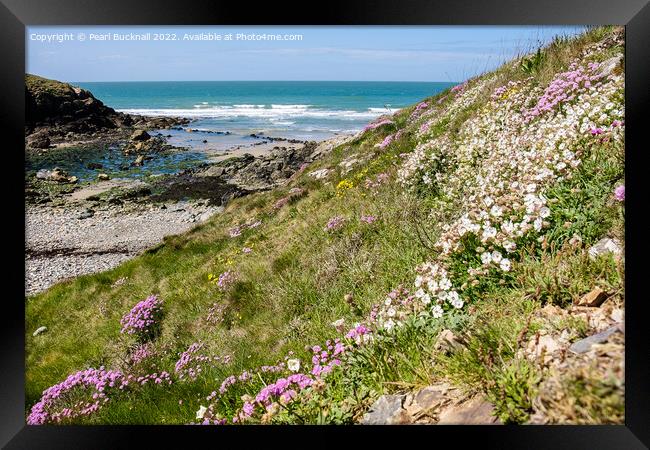 Summer Flowers at Cable Bay Anglesey Coast Framed Print by Pearl Bucknall